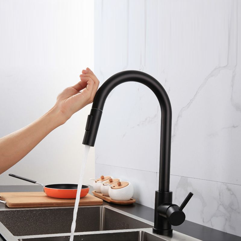 Traditional Pull down Kitchen Faucet Single Handle Faucet with Pull out Sprayer