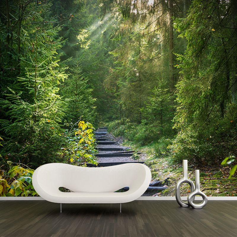 Forest Full of Spring Mural Wallpaper for Decoration Modern Living Room Wall Covering