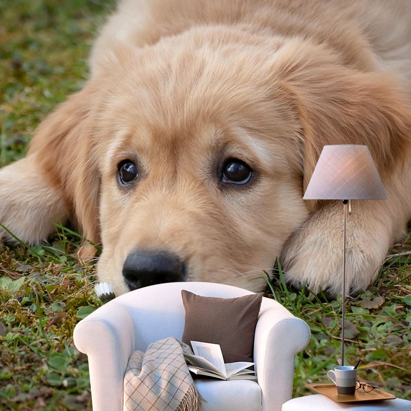 Environment Friendly Mural with Dog Painting Mildew Resistant Wallpaper Home Decor