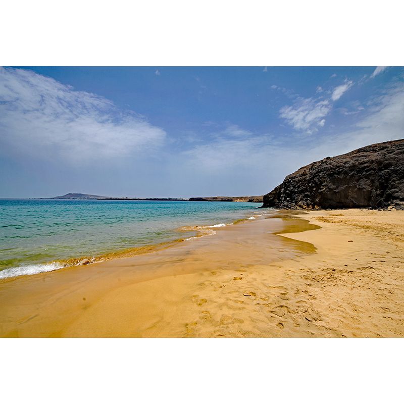 Beach View Mural Wallpaper for Sitting Room Water Resistant, Personalized Size Available