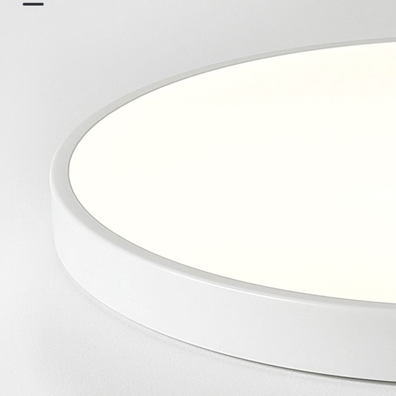 Minimalist LED Flush Mount Ceiling Light Colorful Ceiling Lamp with Acrylic Shade