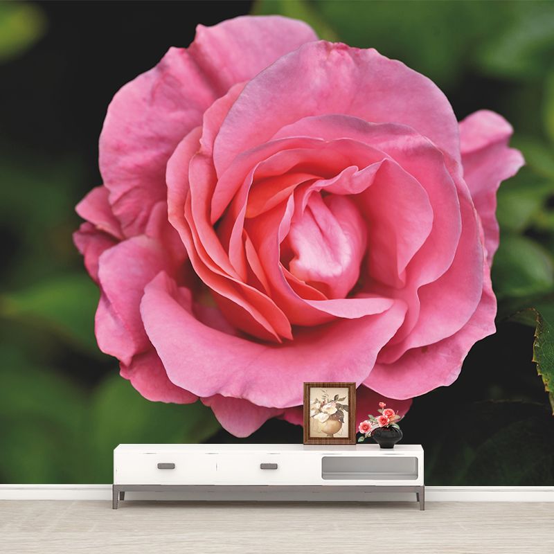 Contemporary Rose Flower Wall Mural Stain Resistant Wall Art for Living Room