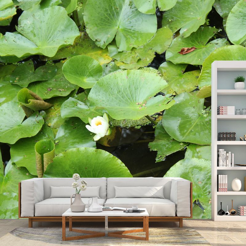 Lotus Leaf Moisture Resistant Mural for Sitting Room, Customized Size Available