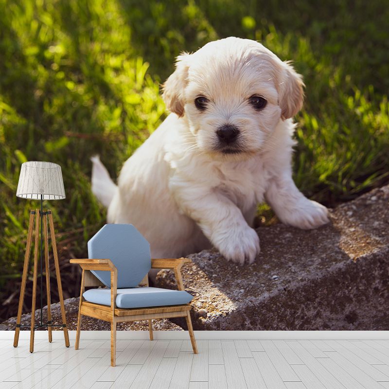 Customized Puppy Wall Mural Contemporary Photography for Bedroom Living Room