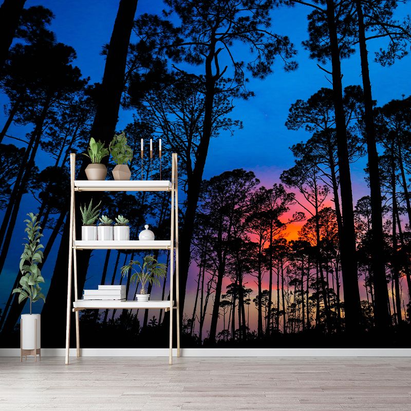 Beautiful Photography Mural Wallpaper Grove Decorative Indoor Wall Mural