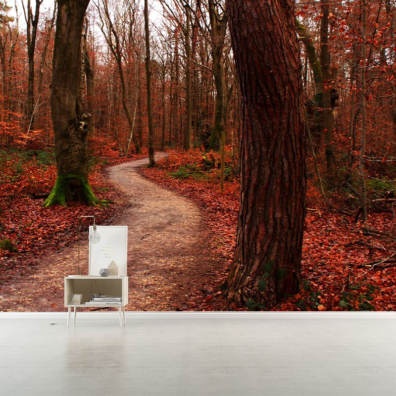 Contemporary Forest Wall Mural Environment Friendly Wallpaper for Sitting Room