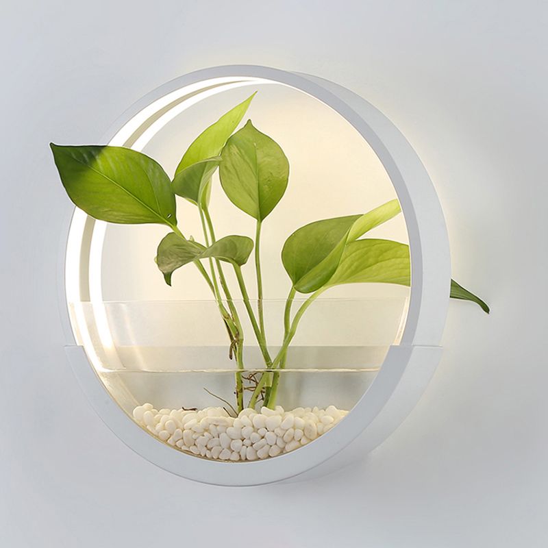 Éclairage de paroi circulaire en acrylique Ponde de mur à LED artistique avec fonction de récipient végétal
