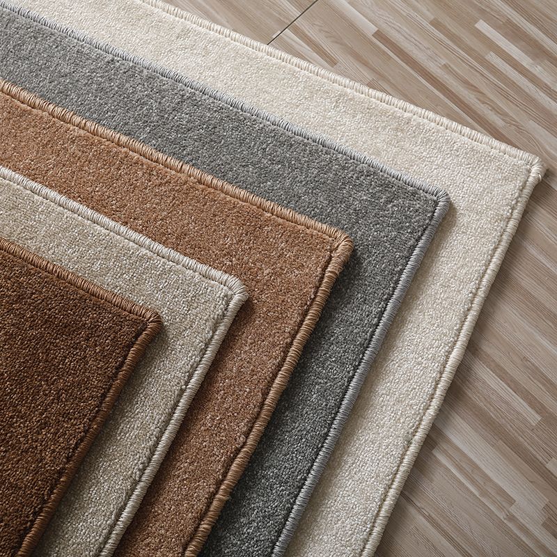Brown Area Carpet Pure Color Polyester Area Rug Easy Care Washable Rug for Living Room