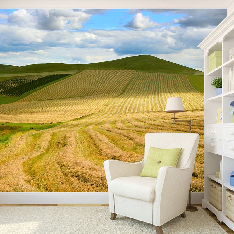 Contemporary Wheat Field Wall Mural Soft Color Waterproofing Wall Art for Gust Room