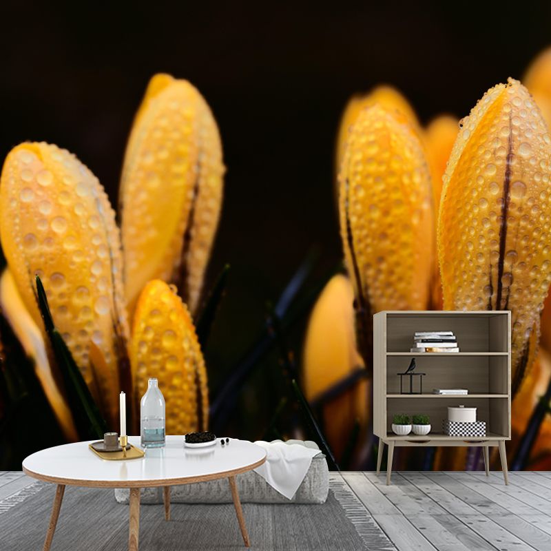 Horizontal Photography Dripping Crocus Wall Mural for Living Room Girls Women Bedroom