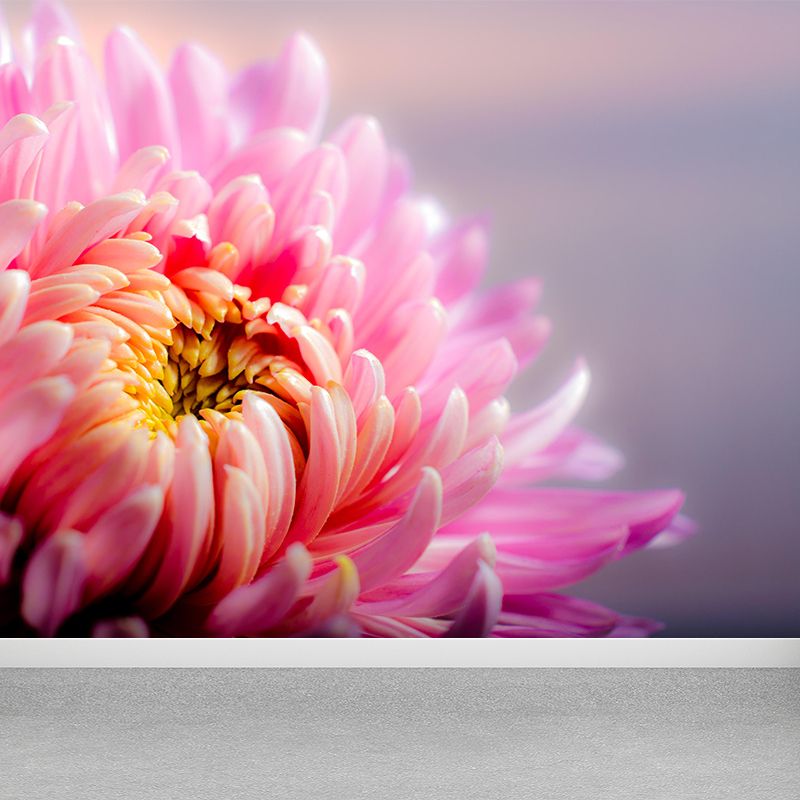 Chrysanthemum Wall Mural Photography Horizontal Modern Living Room Wall Covering