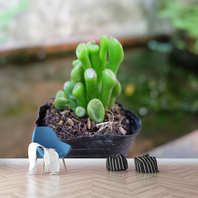 Anthurium Plant Wall Murals Contemporary Wall Art for Bedroom, Moisture Resistant