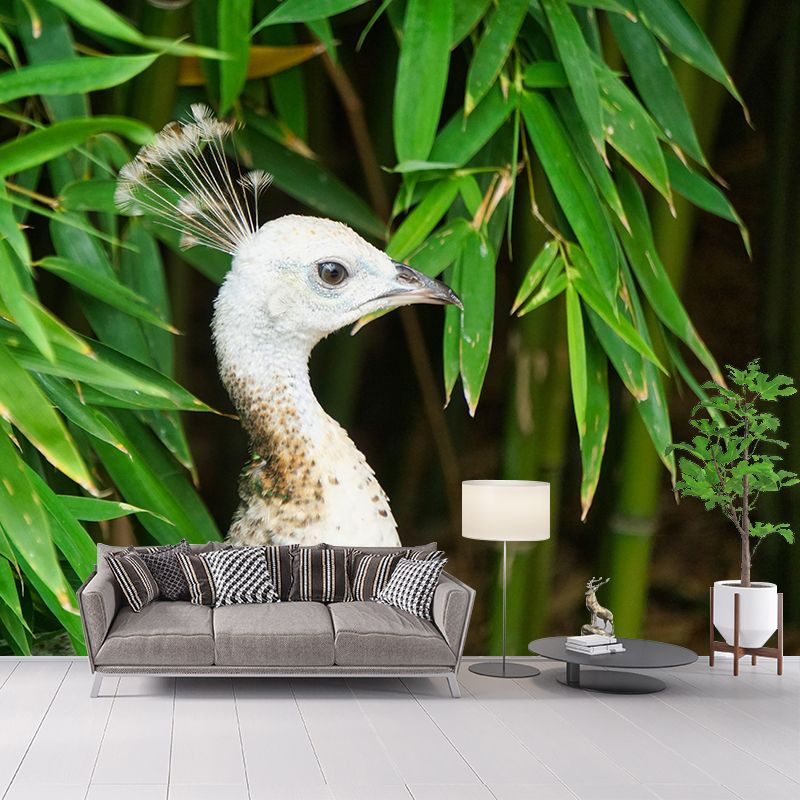 Peacock Portrait Mural Contemporary Photography for Living Room Decoration