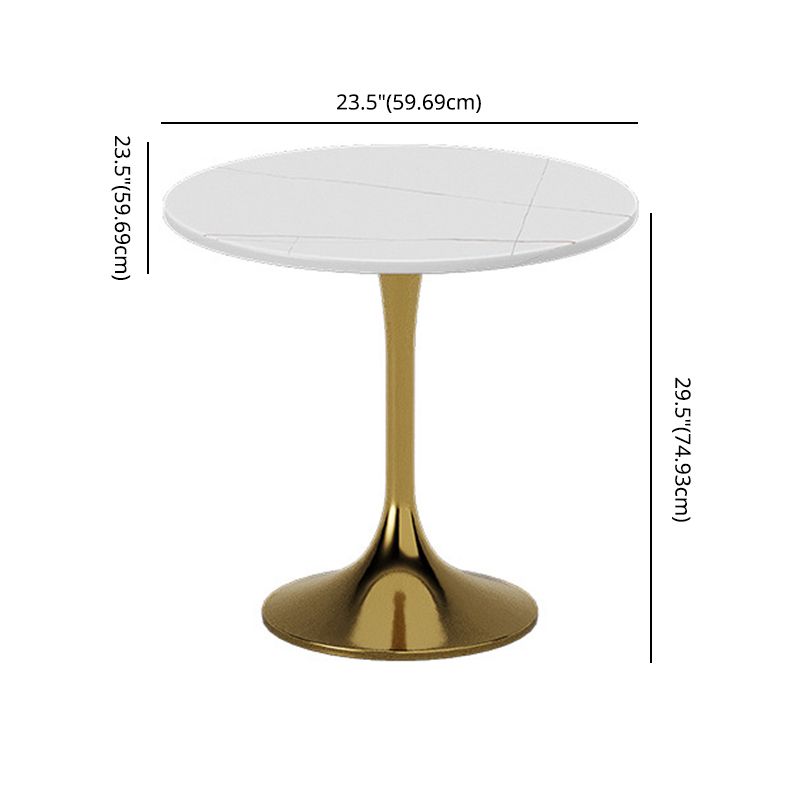 Glam Sintered Stone Dining Room Set with Round Table Formal Dining Table Furniture