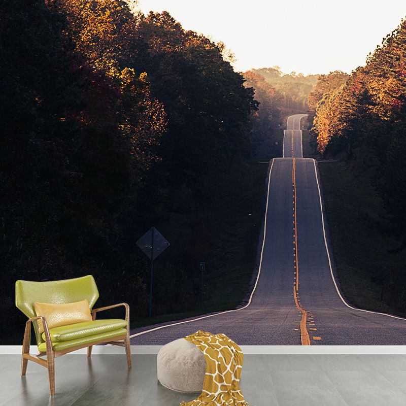 Modern Style Wall Mural Wallpaper Outdoor Path Living Room Wall Mural