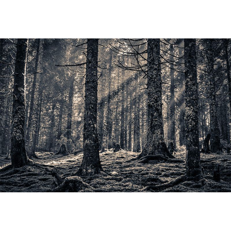 Natural Landscape Wall Mural Decorative Dining Room Wall Art for Decoration