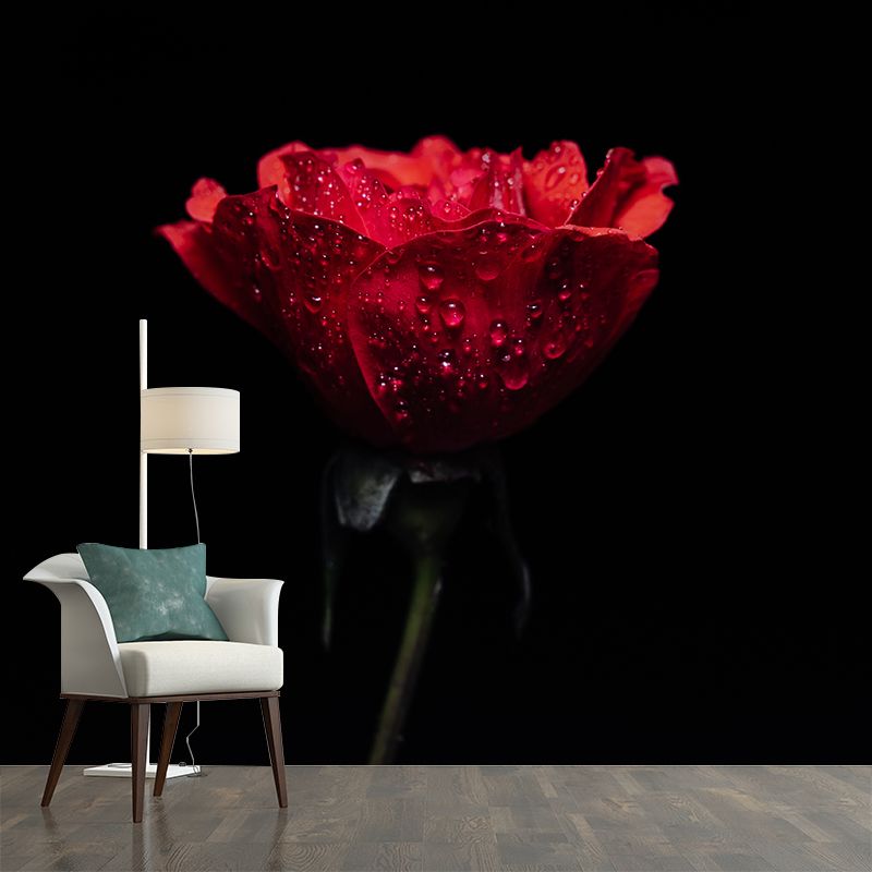 Photography Stain Resistant Wall Mural Wallpaper Roses Sitting Room Wall Mural