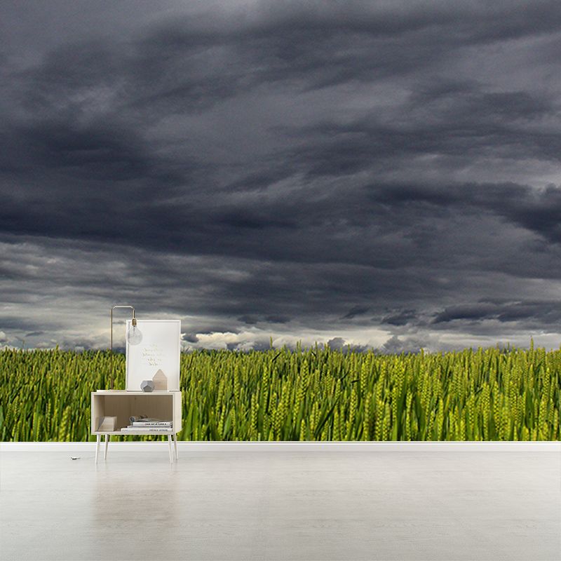 Wheat Field Modern Photography Mural Wallpaper Indoor Wall Mural