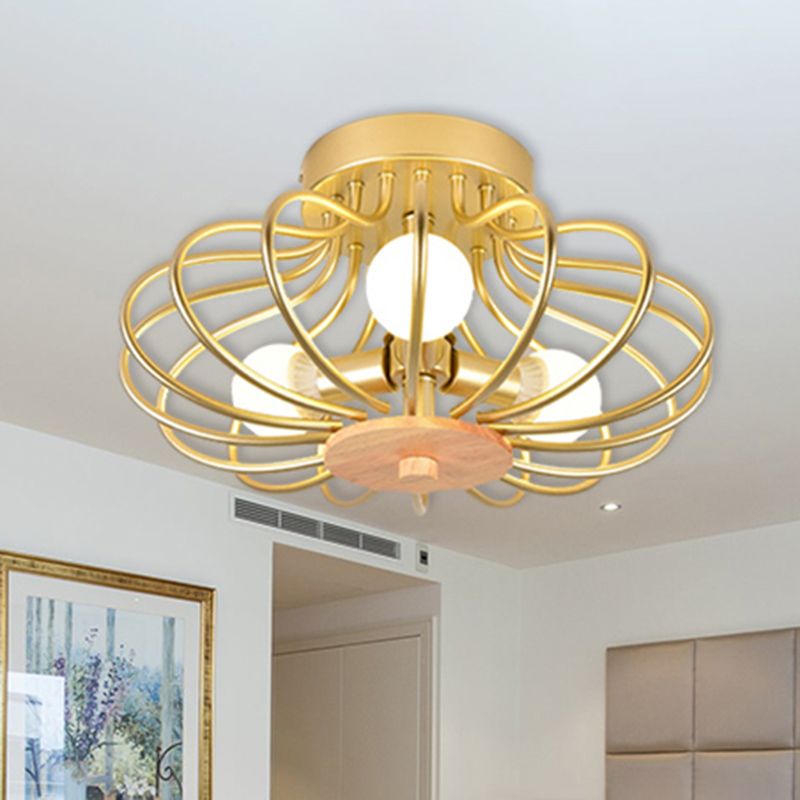 Cadre de fil de melon à chasse d'eau à lampe de plafond métallique contemporaine en or pour le couloir