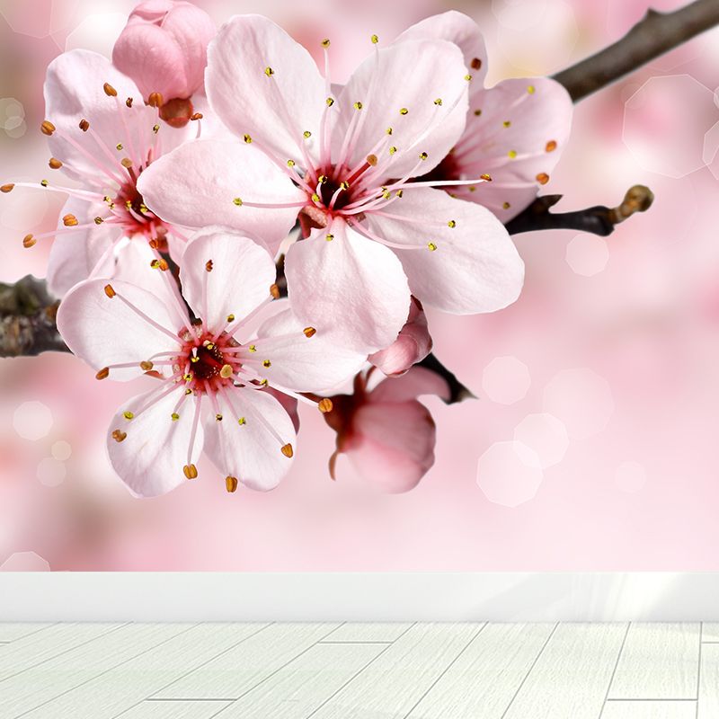 Cherry Blossom Wall Mural Contemporary Washable Living Room Wall Covering, Personalize