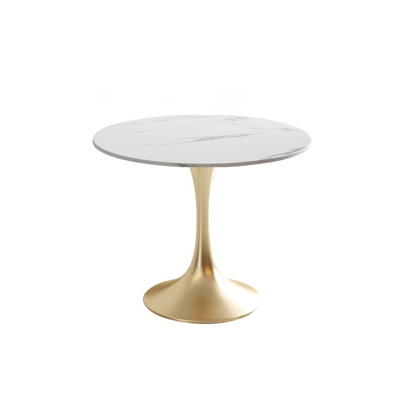 Glam Round Sintered Stone Dining Table Set 1/2/3/4/5 Pieces Dining Set for Home Use