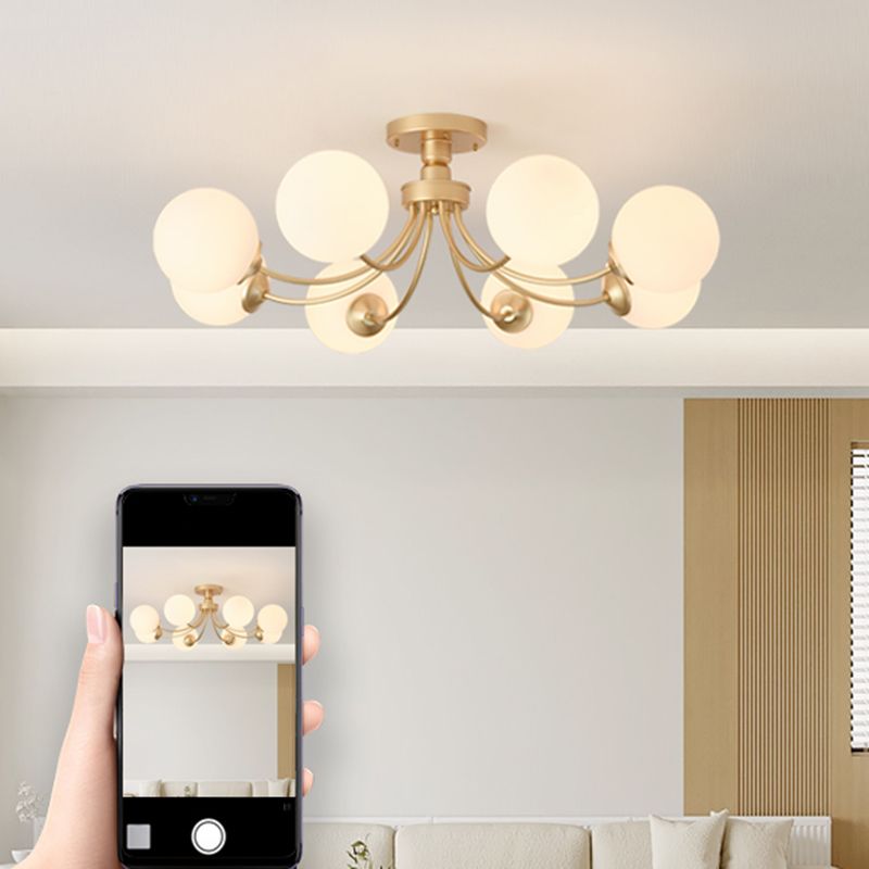 Modern Simple Iron Ceiling Light Ball Shape Ceiling Lamp for Living Room