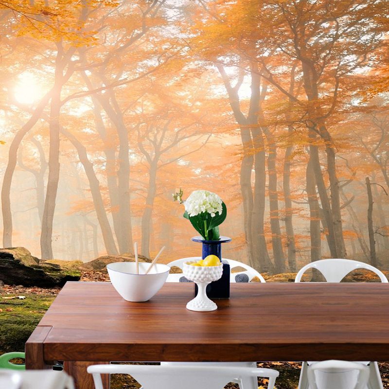 Modern Style Fall Scenery Mural Orange Morning Sunshine Shines Through Forest Wall Art