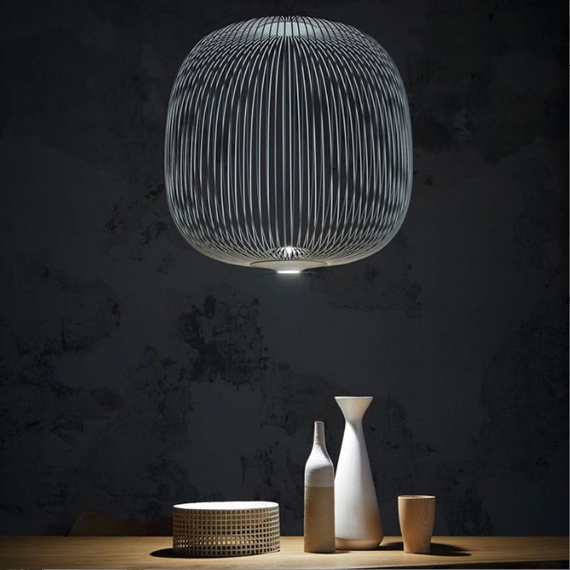 Simple Metal Hanging Light, Globe and Cage Shade 2-Light Hanging Lighting