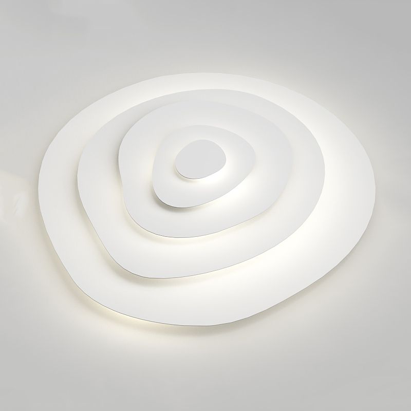 Contemporary LED Ceiling Lamp Metal Flush Mount Light Fixture