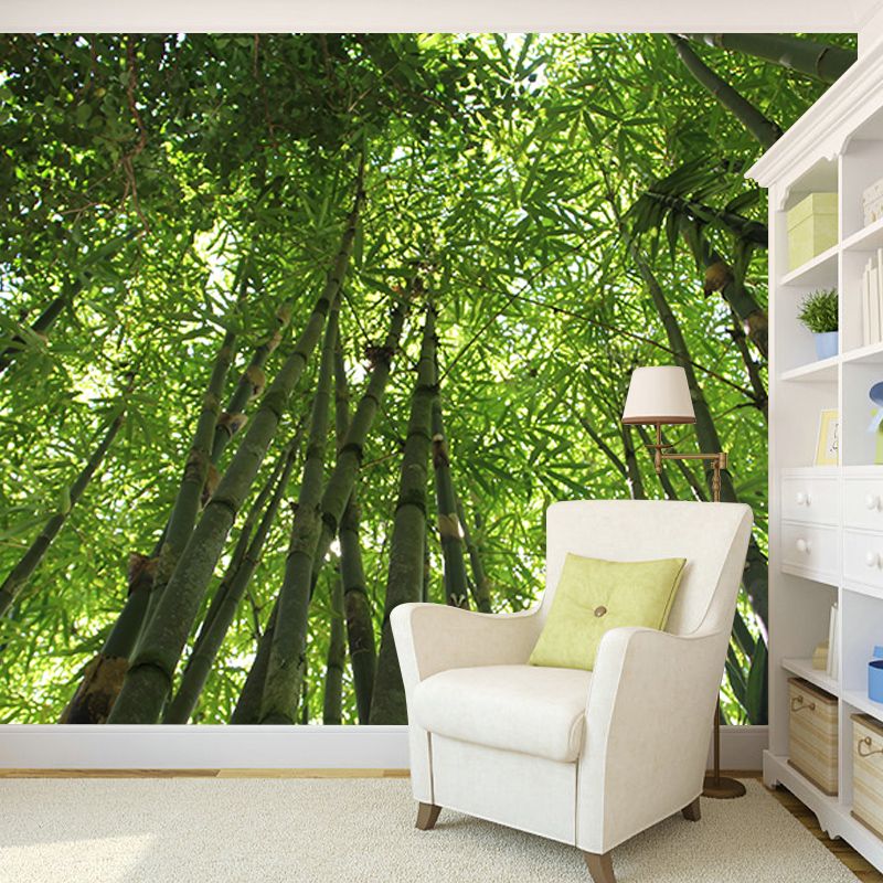 Forest Photography Mildew Resistant Wallpaper Environmental Sleeping Room Wall Mural