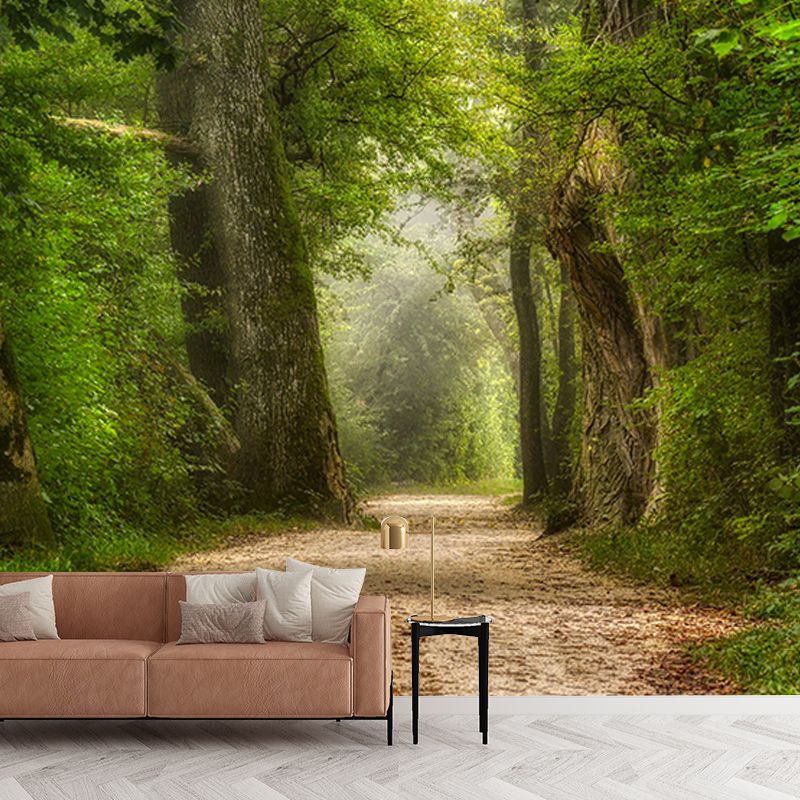 Photography Stain Resistant Mural Wallpaper Forest Path Living Room Wall Mural