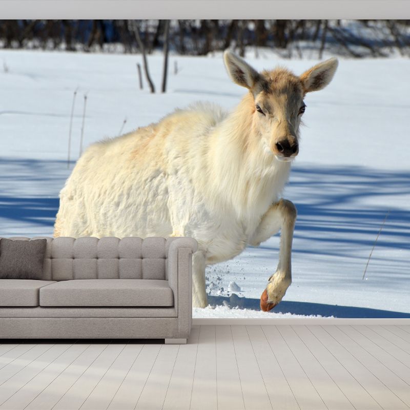 Deer Animal Water-Resistant Wall Mural Minimalist Wall Covering for Living Room Decor