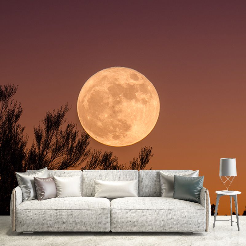 Beautiful Photography Mural Wallpaper Cosmos Decorative Indoor Wall Mural