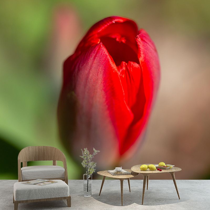 Tulip Blooming Mural Wallpaper Stain Resistant Wall Covering for Sitting Room