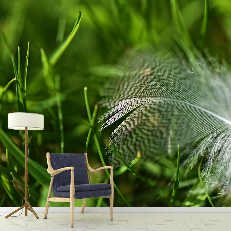 Waterproofing Bird Feather Mural Wallpaper Decorative Wall Art for Home