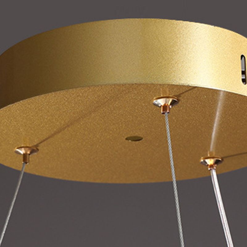 Orbicular Hanging Ceiling Light, Luxurious Acrylic Single Light Hanging Light Fixtures in Gold