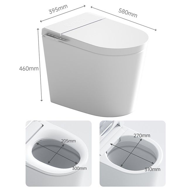 Modern Floor Mounted White Urine Toilet Siphon Jet Toilet Bowl with Toilet Seat