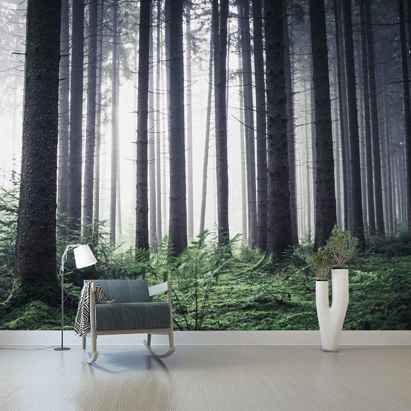 Modern Forest Mural Decal Water Resistant Wall Covering for Home Interior Decoration