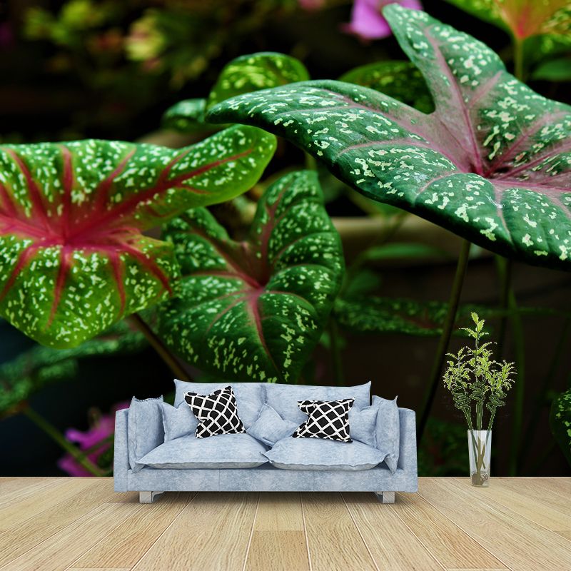 Green Caladium Mural Decal Moisture Resistant for Reading Room, Made to Measure