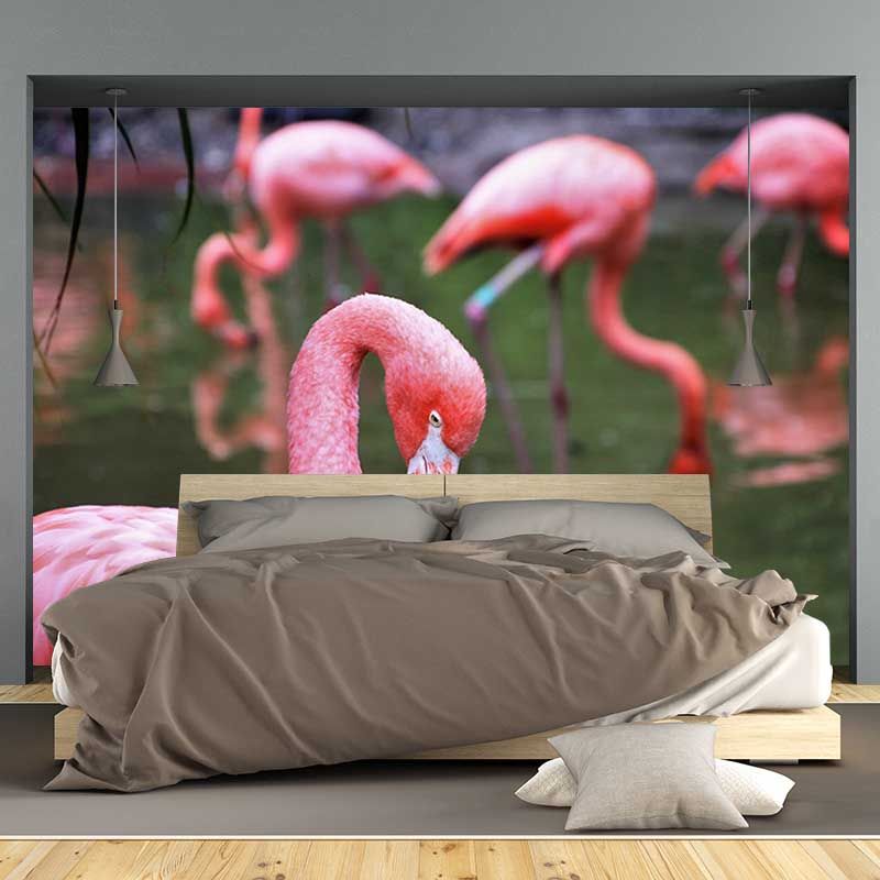 Full Size Flamingo Mural Wallpaper Stain Resistant for Home Wall Decor