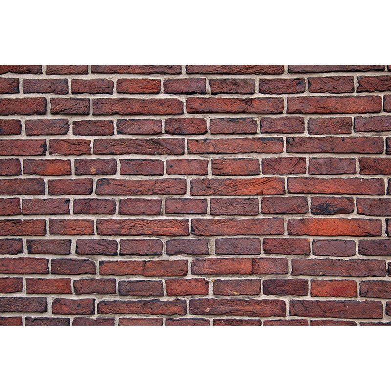 Brick Wall Environmental Mural Wallpaper Photography Indoor Wall Mural