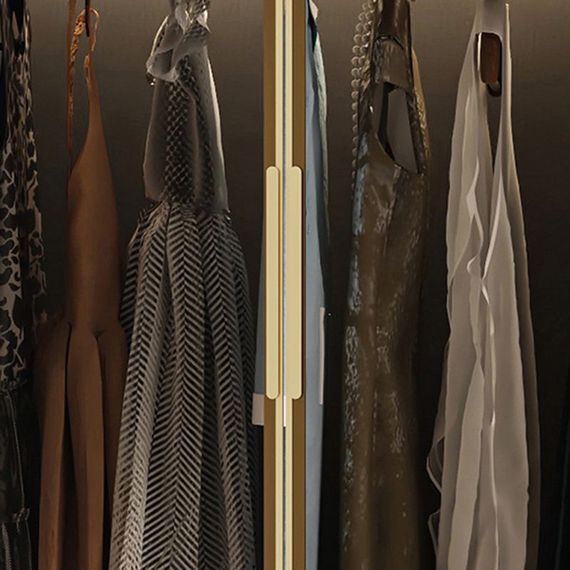 Glass and Wood Wardrobe Armoire Contemporary Wardrobe Closet