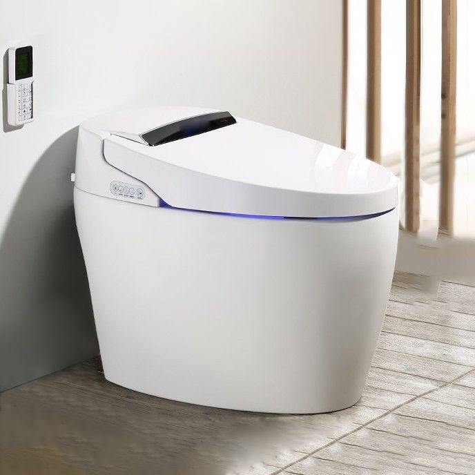 Modern 1-Piece Bidet Toilet Floor Mounted Toilet Bowl for Washroom