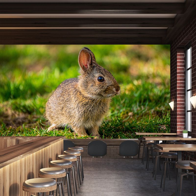 Photography Hare Mural Wall Decor Mildew Resistant Living Room Wall Mural Wall Art