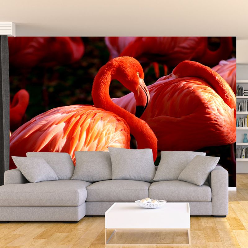 Flamingo Wall Mural for Sitting Room Water Resistant Wall Decor, Made to Measure