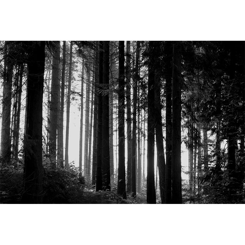 Mysterious Forest Landscape Mural Moisture Resistant Modern Style Bedroom Wall Art