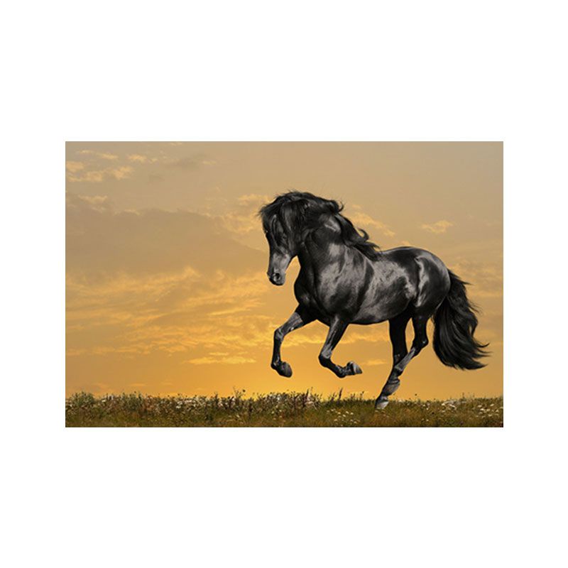 Photographs Modern Canvas Wall Art with Steed Running Pattern in Dark Color for Room
