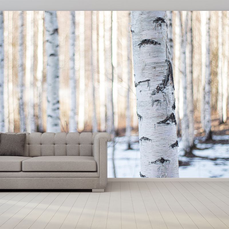 Contemporary Forest Wall Mural Environment Friendly Wallpaper for Bedroom