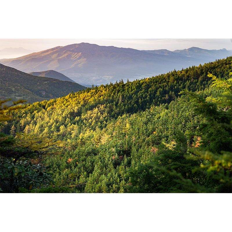 Contemporary Mountain Mural Wallpaper Photography Horizontal for Bedroom