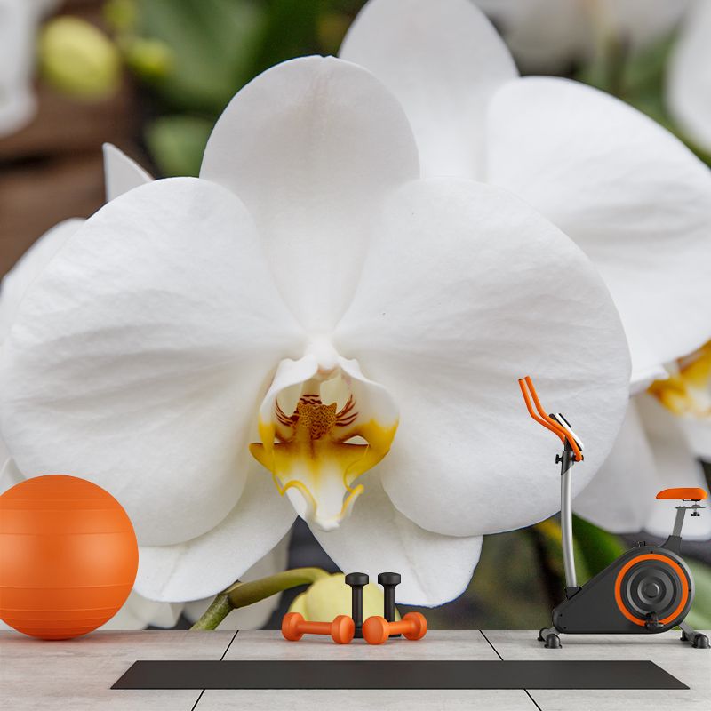 Orchid Murals Contemporary Washable Girls' Bedroom Wall Decor, Size Optional